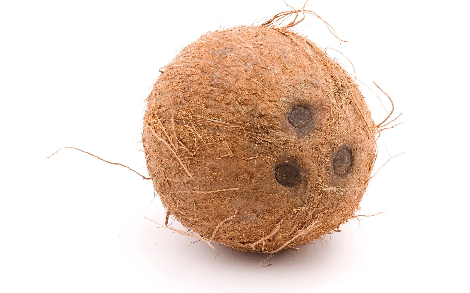 How the coconut got his face